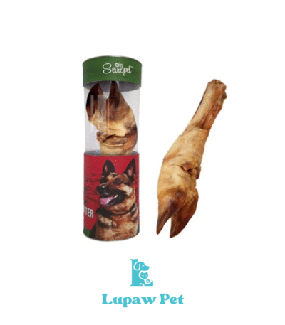 تشویقی طبیعی پاچه گاو سویل پت