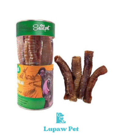 تشویقی طبیعی نای بره سویل پت