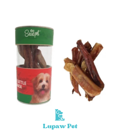 تشویقی طبیعی نرینگی گاو سویل پت