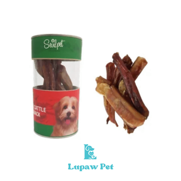 تشویقی طبیعی نرینگی گاو سویل پت